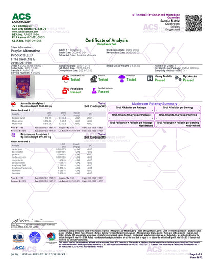 Purple Organics Mushroom Enhanced Microdose Gummies - 5CT