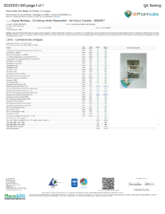 Heavy Hitter 2 Gram Disposable Lab Test