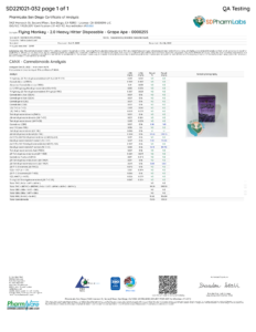 Heavy Hitter 2 Gram Disposable Lab Test