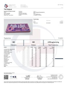 Polk A Dot Mushroom Blend Chocolate Bar | 10,000mg