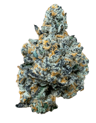 Lambo (Sativa) Destino Farms Indoor THCA Flower 3.5G