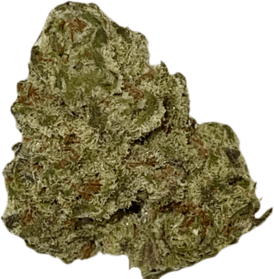 Oaksterdam (Indica) Destino Farms Indoor THCA Flower 3.5G