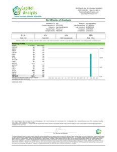 Petrol Pie (Indica) Destino Farms Indoor THCA Flower 3.5G